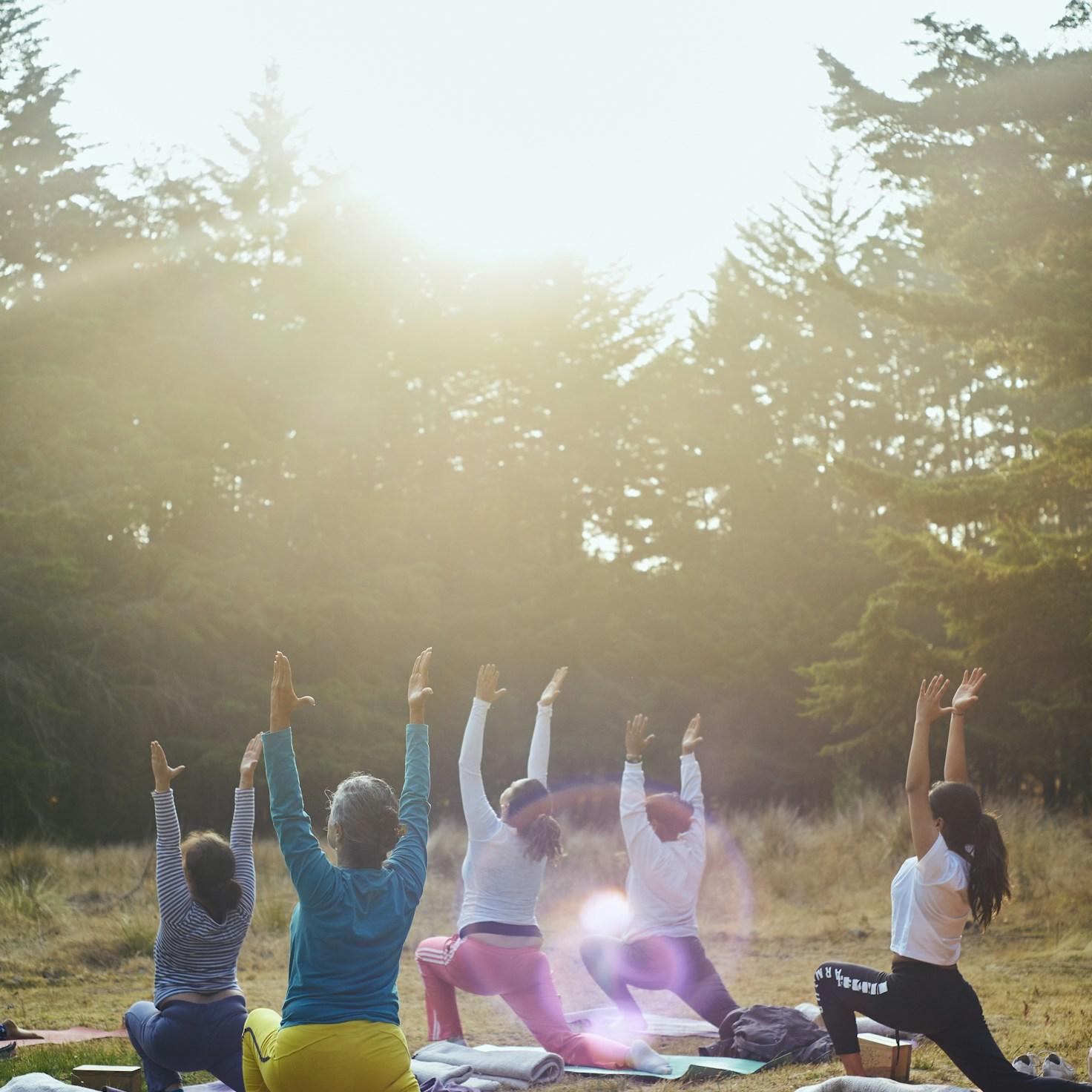 Meditation practice space with cushions arranged in circle